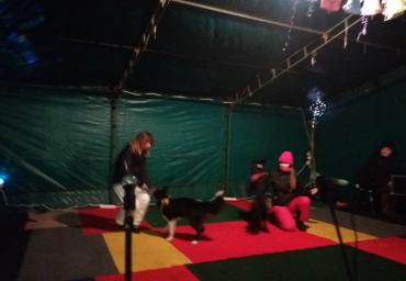 Виступ дресирувальниць Катерини Корж та Марії Батченко із танцями з собаками!